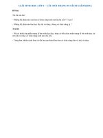 Câu hỏi thảo luận trang 95 SGK Sinh học 6 | Soạn Sinh 6