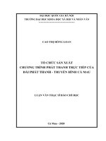 Tổ chức sản xuất chương trình phát thanh trực tiếp của đài phát thanh   truyền hình cà mau 