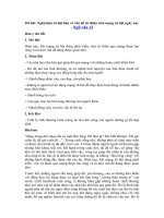 Tải Nghị luận xã hội bàn về vấn đề từ thiện trên mạng xã hội ngày nay - Dàn ý + bài nghị luận