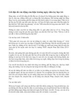 Bài phát biểu của Hiệu trưởng trong lễ Tri ân và Trưởng thành