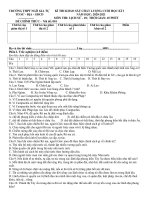 Đề thi học kì 1 môn Lịch sử 10 năm 2020-2021 có đáp án - Trường THPT Ngô Gia Tự