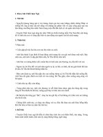 Top 7 bài phân tích Chiếc lược Ngà chọn lọc nhất