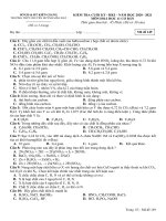 Đề thi học kì 1 môn Hóa học 11 năm 2020-2021 có đáp án - Trường THPT chuyên Huỳnh Mẫn Đạt (Khối cơ bản)
