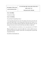 Tải Đề thi chọn học sinh giỏi Ngữ văn THPT cấp tỉnh năm 2018 - 2019 Sở GD&ĐT Vĩnh Long - Đề thi HSG THPT môn Ngữ văn