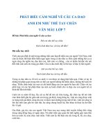 Cảm nghĩ về bài ca dao Anh em như thể tay chân - Văn mẫu 7