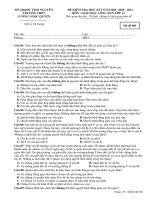 Đề thi học kì 1 môn GDCD 12 năm 2020-2021 có đáp án - Trường THPT Lương Ngọc Quyến