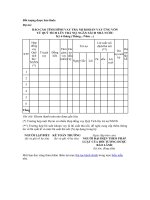 Mẫu báo cáo tình hình vay trả nợ khoản vay ứng vốn từ quỹ tích lũy trả nợ, ngân sách nhà nước