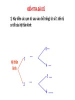 sinh 8 tt 27.3 day tk tuy