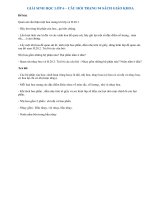 Câu hỏi thảo luận trang 94 SGK Sinh học 6 | Soạn Sinh 6