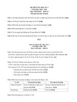 Đề thi học kì 1 môn Sinh học 10 năm 2020-2021 có đáp án - Trường THPT Lương Văn Can