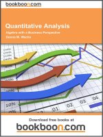 Quantitative Analysis: Algebra with a Business Perspective - eBooks and textbooks from bookboon.com