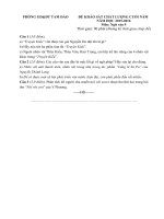 Tải Đề thi học kì 2 môn Ngữ văn lớp 9 phòng GD&ĐT Tam Đảo, Vĩnh Phúc năm 2015 - 2016 - Đề kiểm tra cuối học kì II môn Ngữ văn lớp 9 có đáp án