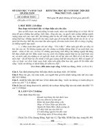 Đề thi học kì 1 môn Ngữ văn 12 năm 2020-2021 có đáp án - Trường THPT Sào Nam