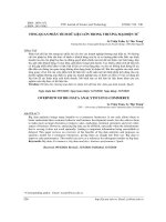 TỔNG QUAN PHÂN TÍCH DỮ LIỆU LỚN TRONG THƯƠNG MẠI ĐIỆN TỬ