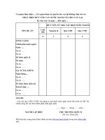 Mẫu thực hiện rút vốn vay nước ngoài về cho vay lại