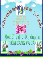 bài Tập đọc - Tôm Càng và Cá Con | Ngữ văn, Lớp 2 - Ôn Luyện