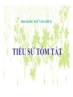 bài Luyện tập - Tiểu sử tóm tắt | Lớp 11, Ngữ văn - Ôn Luyện