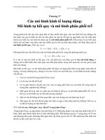 Bài đọc 7. Kinh tế lượng cơ sở - 4th ed., Chương 17: Các mô hình kinh tế lượng động:  Mô hình tự hồi qui và mô hình phân phối trễ