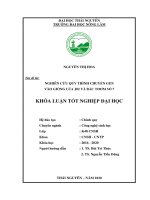 (Khóa luận tốt nghiệp) Nghiên cứu quy trình chuyển gen vào giống lúa J02 và BắcThơm số 7