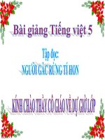 bài Tập đọc - Người gác rừng tí hon | Ngữ văn, Lớp 5 - Ôn Luyện