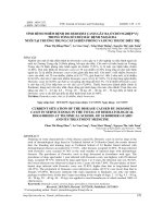 MỘT SỐ ĐẶC ĐIỂM DỊCH TỄ BỆNH DO DEMODEX CANIS GÂY RA Ở CHÓ NGHIỆP VỤ NUÔI TẠI TRƯỜNG TRUNG CẤP 24 BIÊN PHÒNG VÀ PHÁC ĐỒ ĐIỀU TRỊ