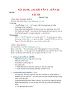 NỘI DUNG BÀI HỌC MÔN VĂN 6 - TUẦN 28