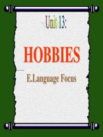 Hobbies | Lớp 11, Tiếng Anh - Ôn Luyện