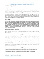 Soạn bài Câu cá mùa thu ngắn gọn nhất | Soạn văn 11