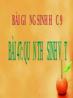 Quần thể sinh vật | Lớp 9, Sinh học - Ôn Luyện