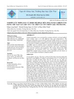 Nghiên cứu thời gian và nhiệt độ hoạt hóa ống nano carbon ứng dụng chế tạo vật liệu xúc tác điện cực pin nhiên liệu methanol