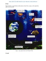 Giải Sinh 10 bài 2 trang 6 | Quan sát hình 1 và giải thích các khái niệm…