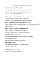 Đề cương ôn tập học kì 1 môn Hóa lớp 11 năm 2020 - 2021 THCS Đinh Tiên Hoàng | Lớp 11, Hóa học - Ôn Luyện