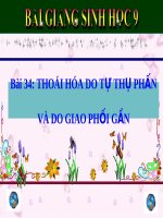 Thoái hóa do tự thụ phấn và do giao phối gần | Lớp 9, Sinh học - Ôn Luyện