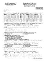 Kiểm tra vật  lý 11DE 132