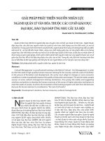 Giải pháp phát triển nguồn nhân lực ngành quản lý văn hóa thuộc các cơ sở giáo dục đại học, đào tạo đáp ứng nhu cầu xã hội