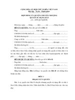 Mẫu Hợp đồng ủy quyền bán nhà đất 2020 đầy đủ thông tin pháp lý