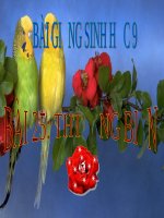 Thường biến | Lớp 9, Sinh học - Ôn Luyện