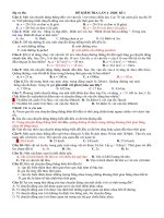 Kiểm tra 1 tiết Vật lý 10