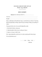 Mẫu giấy cam kết