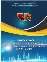 Báo cáo thị trường Bất động sản Việt Nam năm 2020