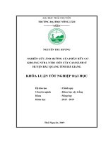 Nghiên cứu ảnh hưởng phân hữu cơ khoáng NTR1 và NTR2 đến cây cam sành trồng tại huyện Bắc Quang, tỉnh Hà Giang