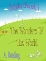 The wonders of the world | Lớp 11, Tiếng Anh - Ôn Luyện