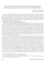 Đào tạo nguồn nhân lực chất lượng cao ở Việt Nam hiện nay: Thực trạng và triển vọng