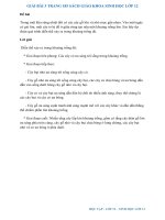 Giải bài 3 trang 185 sách giáo khoa sinh học lớp 12