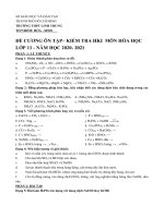 Đề cương ôn tập học kì 1 môn Hóa lớp 11 năm 2020 - 2021 THPT Linh Trung | Lớp 11, Hóa học - Ôn Luyện