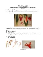 NỘI DUNG BÀI HỌC MÔN CÔNG NGHỆ 6 - TUẦN 29