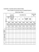 Mẫu nợ của các khoản vay nước ngoài của cơ quan được ủy quyền cho vay