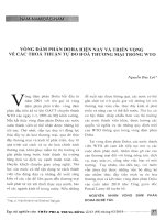 Vòng đàm phán Doha hiện nay và triển vọng về các thỏa thuận tự do hóa thương mại trong WTO