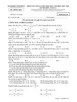 Đề thi học kì 1 môn Toán 11 năm 2020-2021 có đáp án - Sở GD&ĐT Vĩnh Phúc