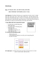 NỘI DUNG BÀI HỌC MÔN MỸ THUẬT 6-7-8-9 TUẦN 26